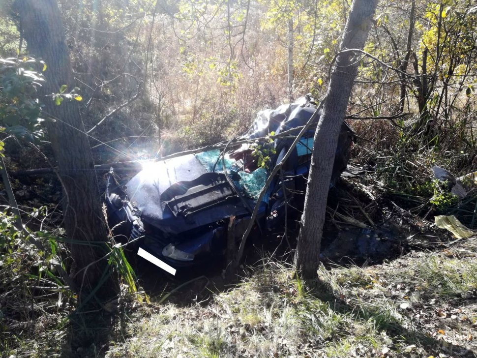 Rybnik: Pijany kierowca uderzył w drzewo