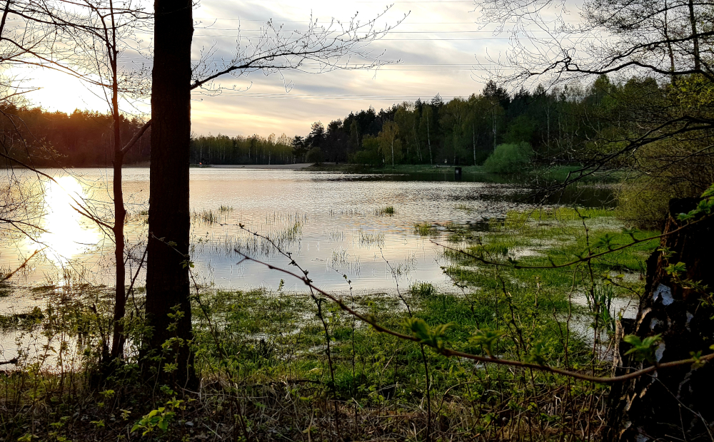 Starganiec doczeka się rewitalizacji? Minął rok od podpisaniu listu intencyjnego