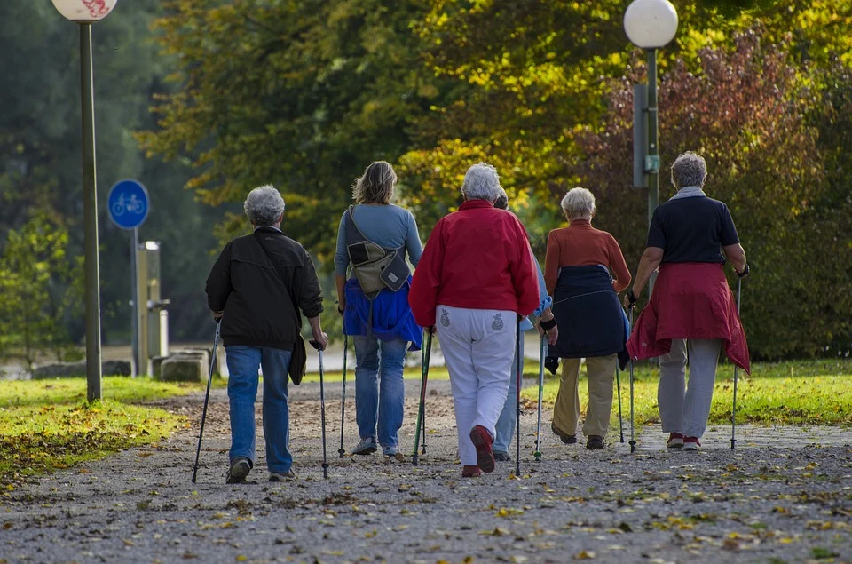 Nordic Walking dla katowickich Seniorów