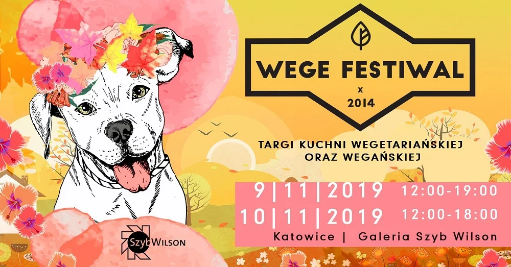 Przed nami Wege Festiwal Silesia!