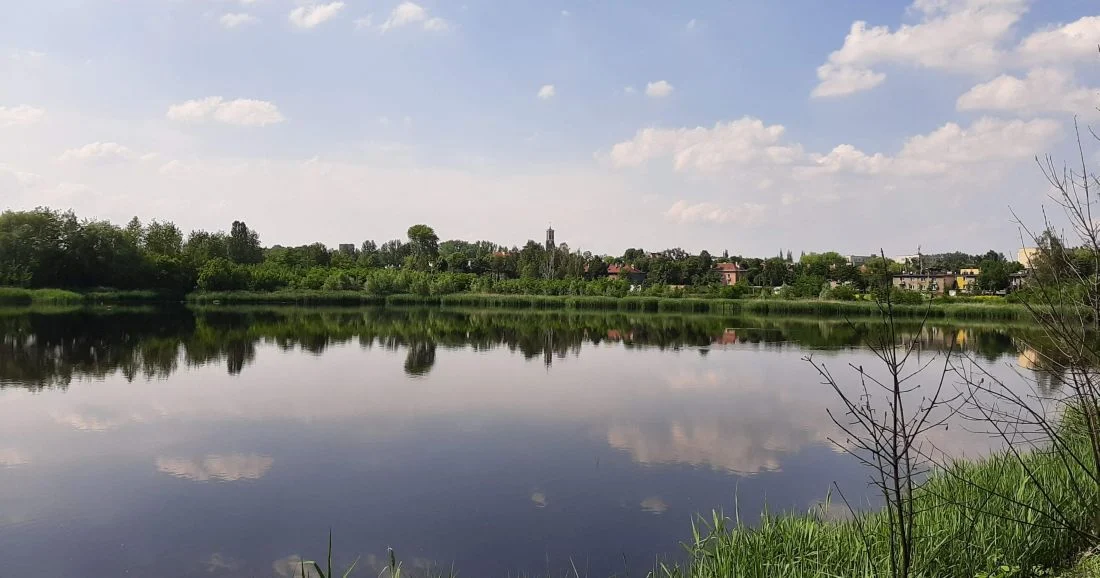 Miasto ogłasza kolejny przetarg na oczyszczenie stawu Kalina