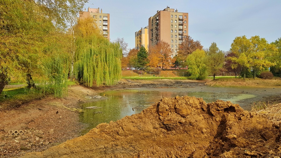 Rozpoczęła się modernizacja stawów w chorzowskim Parku Róż [ZDJĘCIA]