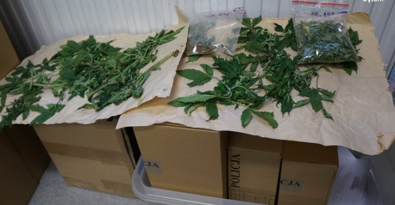 Podszedł do policjantów i spytał czy zapalą z nim jointa