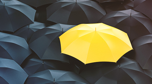 Za te cechy pracownicy Cię polubią