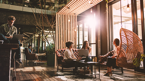 Praca dla introwertyka - jaki zawód wybrać?