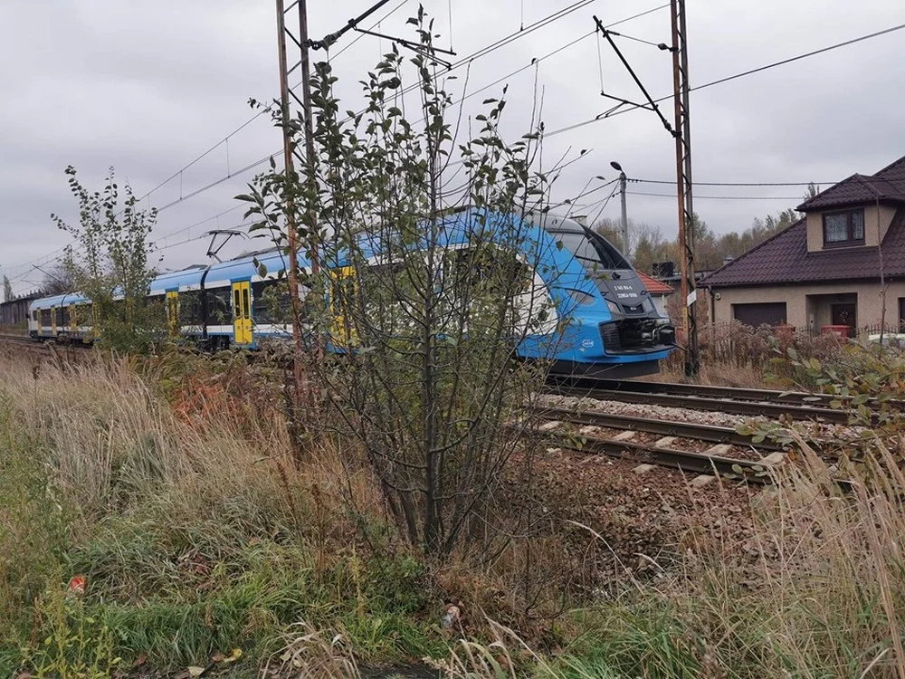 Kolejne śmiertelne potrącenie na torach - pod kołami pociągu zginęła kobieta