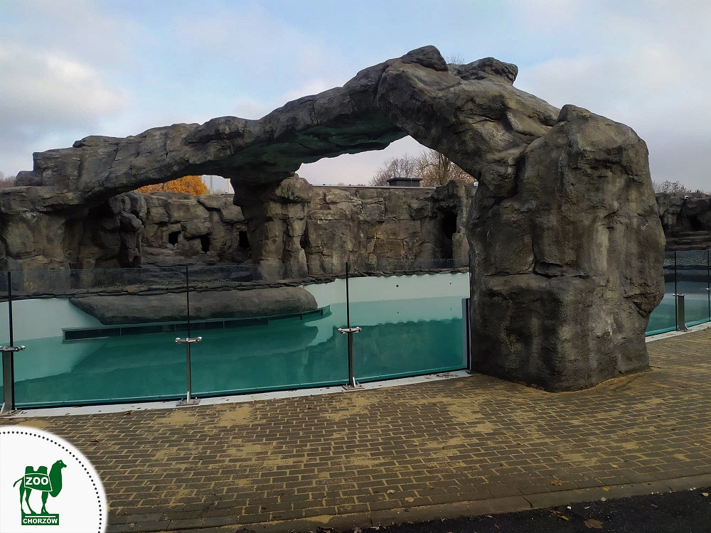 Powrót pingwinów do Śląskiego Ogrodu Zoologicznego jest coraz bliższy!