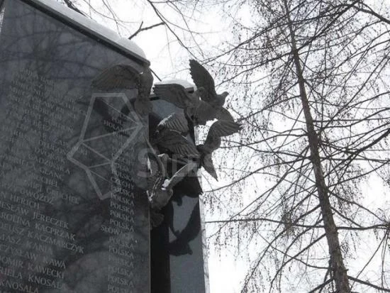 Jest wyrok w sprawie katastrofy hali MTK. 1,5 roku więzienia dla byłego członka zarządu