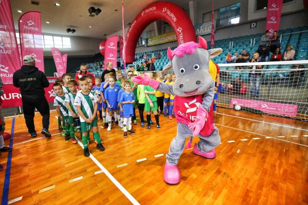 Powalczą o energetyczny puchar w TAURON Arenie