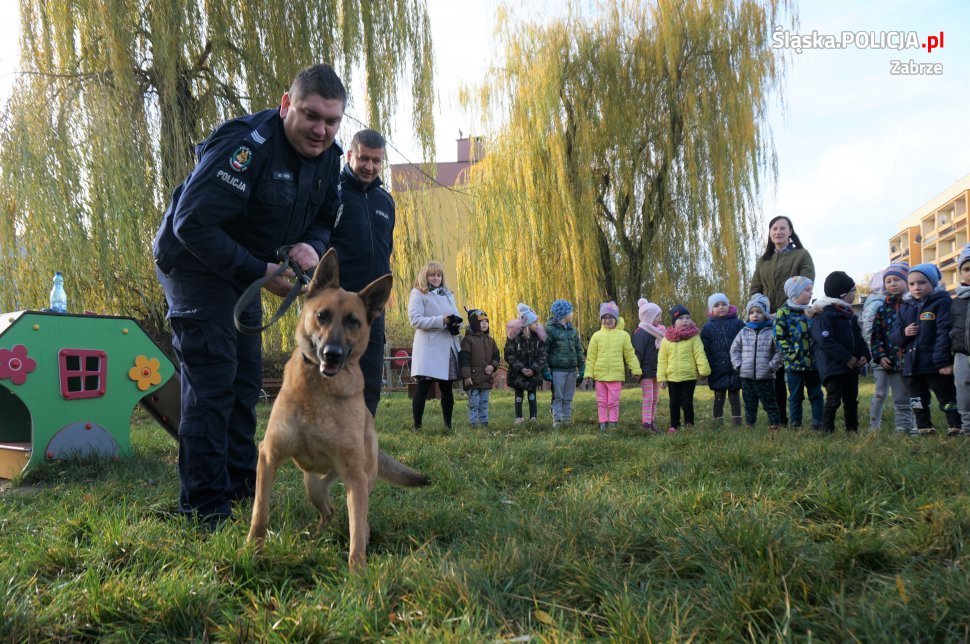Policyjny przewodnik z zabrzańskiej komendy i dzielnicowi z wizytą w przedszkolu