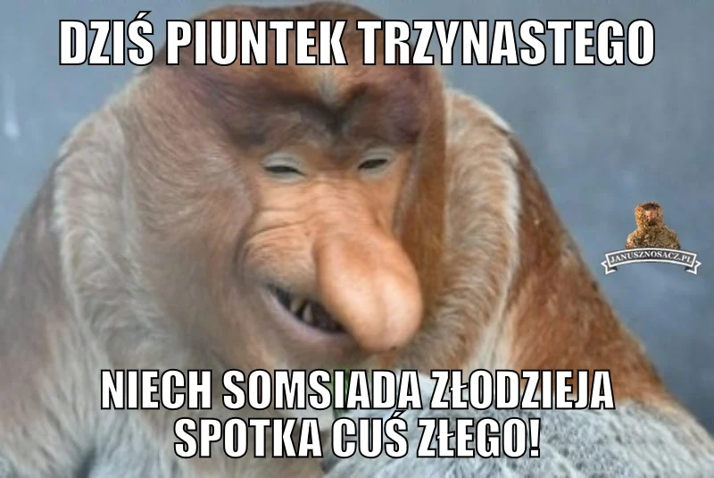 1390422.obrazki.jpg