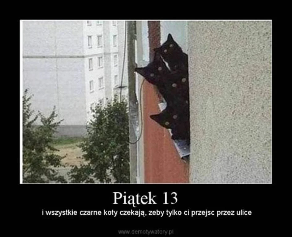 1390425.obrazki.jpg