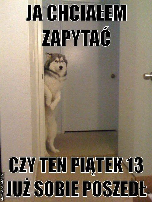 1390432.obrazki.jpg