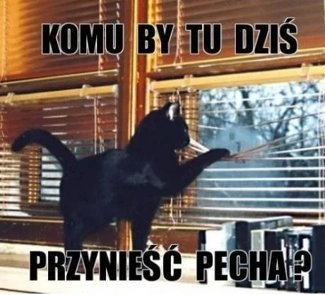 1390434.obrazki.jpg