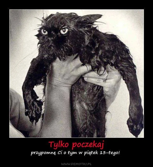 1390437.obrazki.jpg
