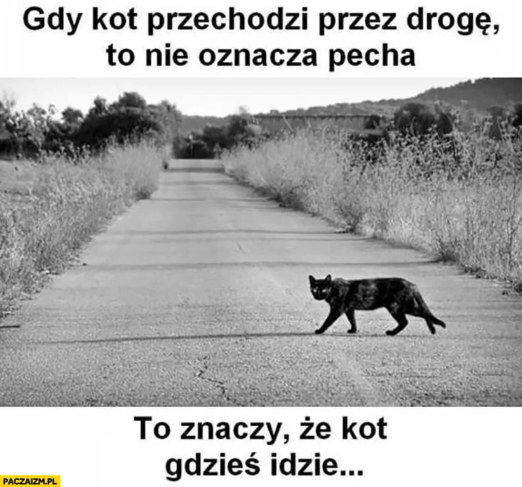 1390439.obrazki.jpg