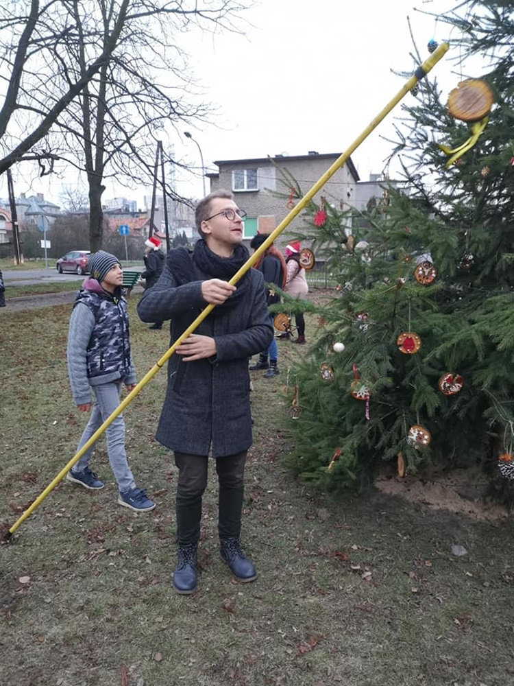 Strojenie choinki na plantach 7