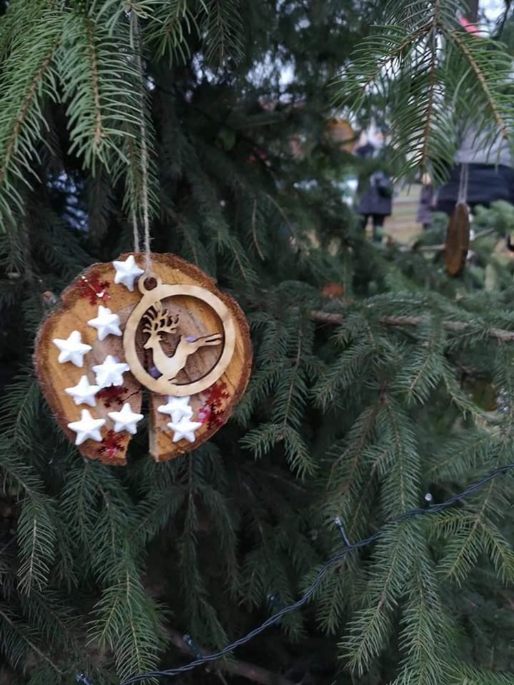 Strojenie choinki na plantach 13