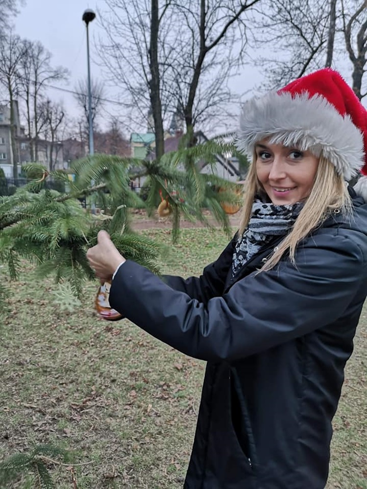 Strojenie choinki na plantach 17