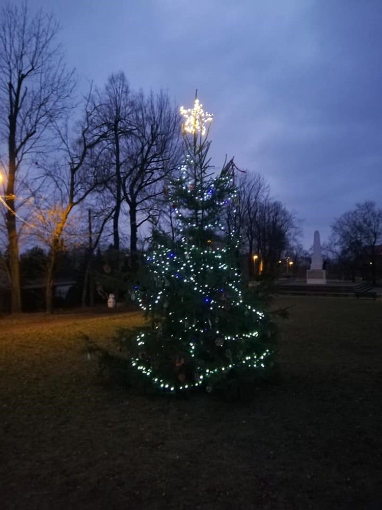 Strojenie choinki na plantach 20