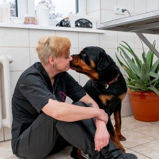 Fryzjer dla Psów Karolina Adamska