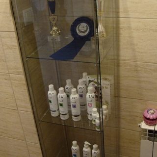 Fryzjer dla Psów Karolina Adamska