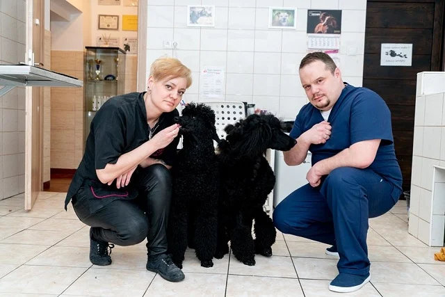 Gabinet Weterynaryjny Doktor Wojtek