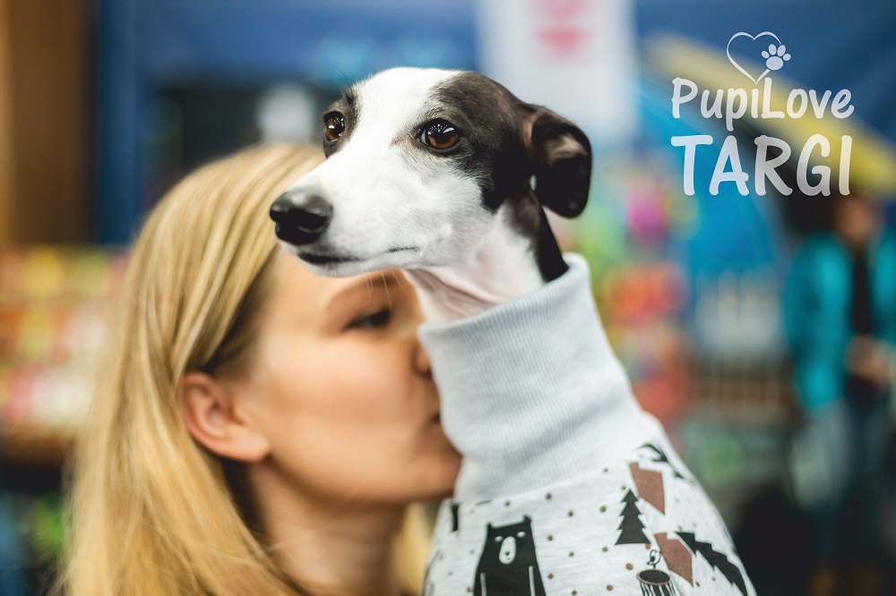 Świąteczne PupiLove Targi w Katowicach