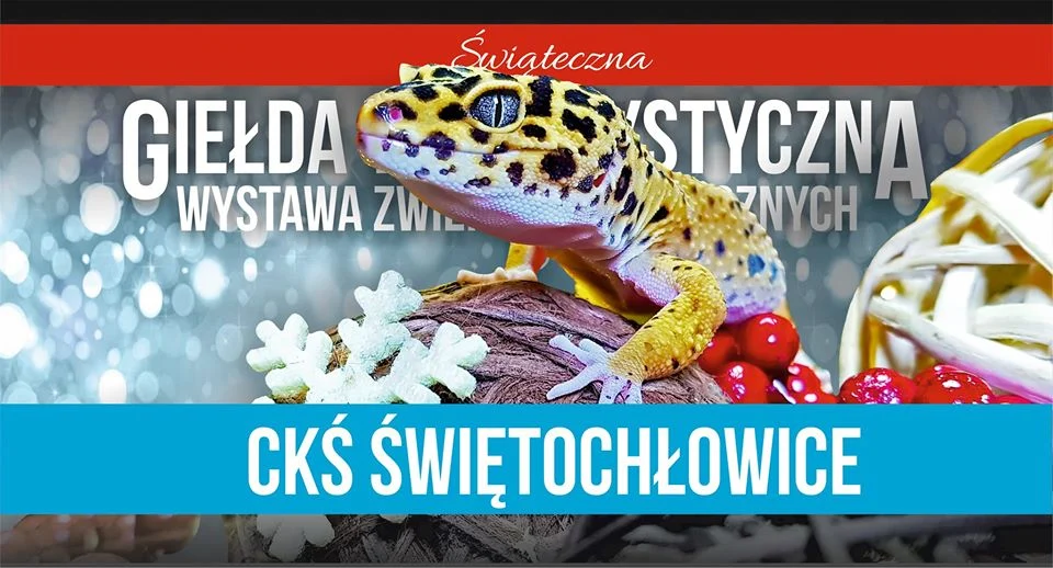 Giełda Animals Live. Giełda Terrarystyczna w Świętochłowicach