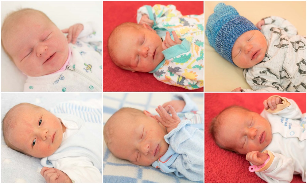 Projekcja filmu "Ubodzy Powstańcy, śląscy szeregowcy"