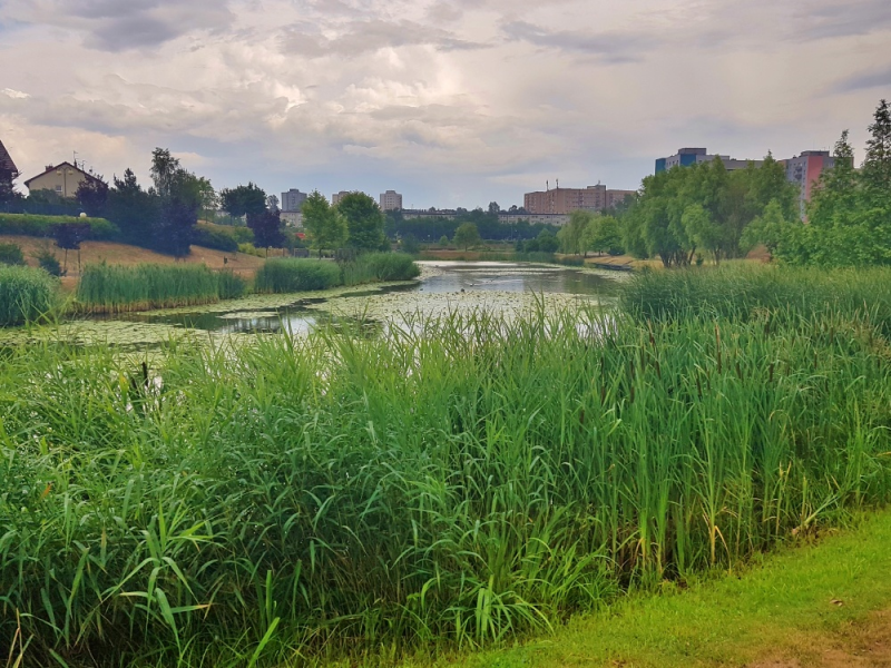 Nie będzie monitoringu w rejonie Amelungu