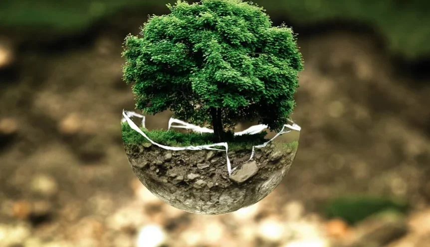 Ruda Śląska wdraża pakiet rozwiązań zabezpieczających miasto przed skutkami zmian klimatu