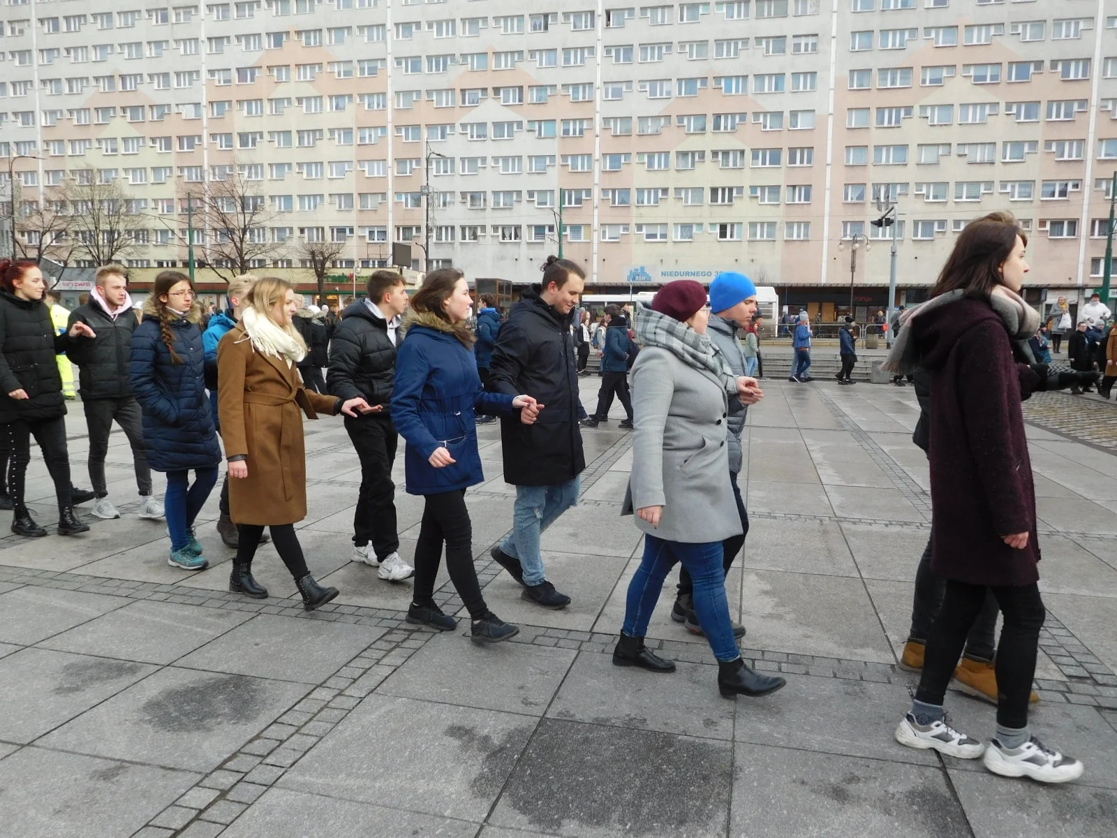 Polonez na rynku 2020 24