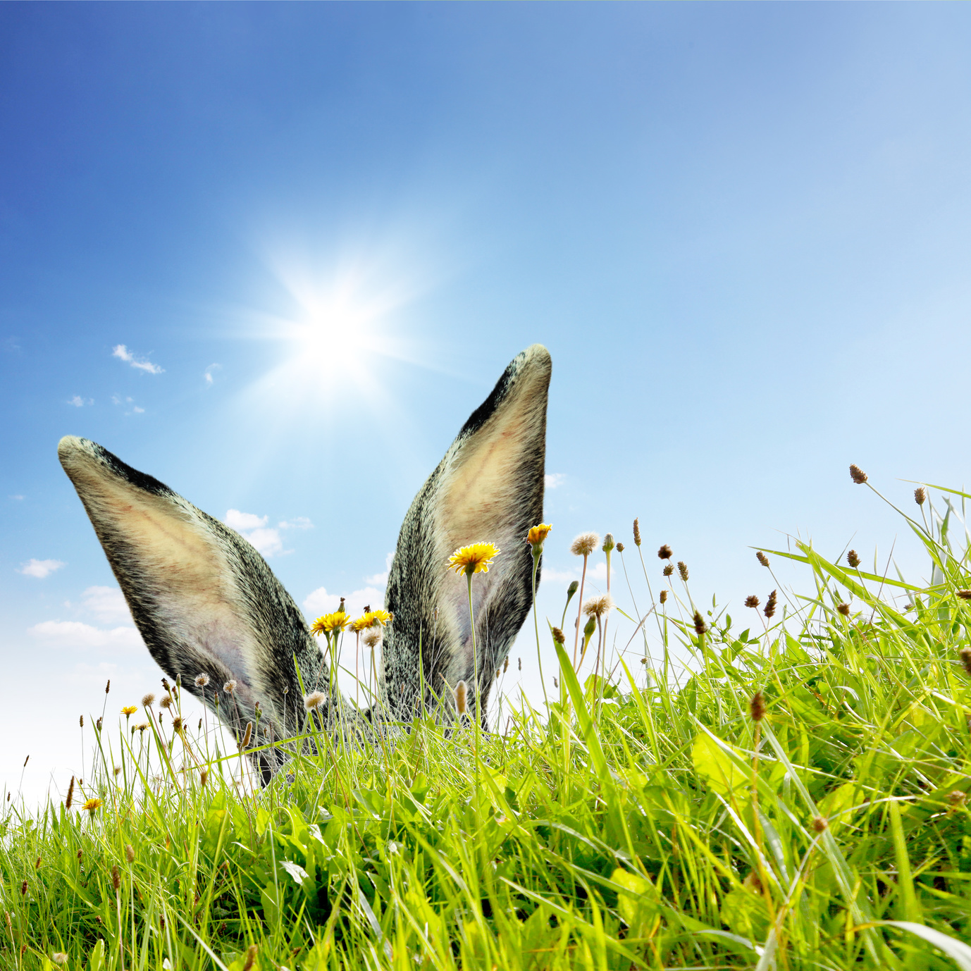 Przekonania przez które zawsze brakuje Ci pieniędzy