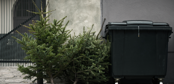 Nie wiesz co zrobić ze świąteczną choinką?