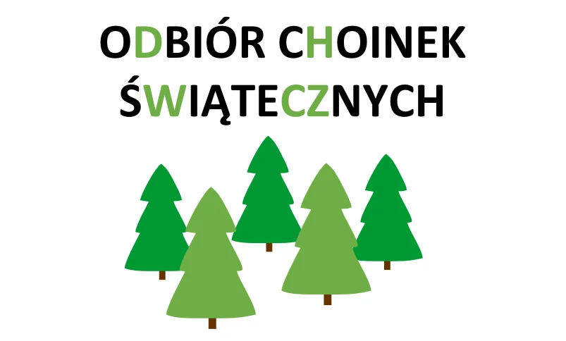 Harmonogram odbioru choinek