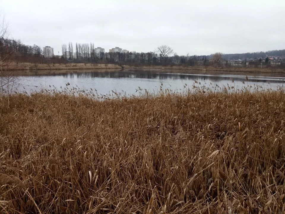 Remediacja Kaliny: umowa z inżynierem kontraktu podpisana, ale nie brak głosów krytycznych