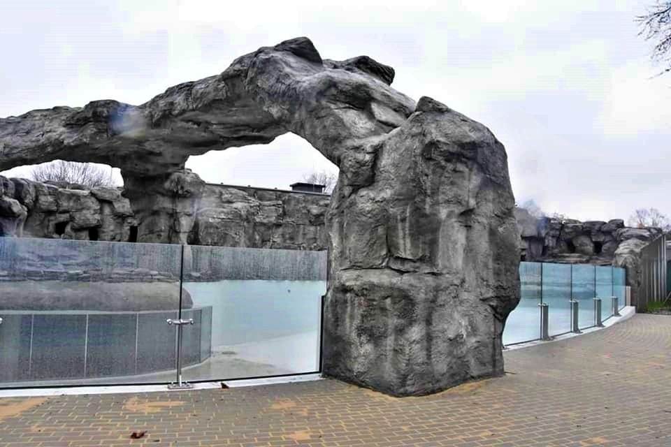 Za kilka dni do chorzowskiego ZOO przyjadą pingwiny! 