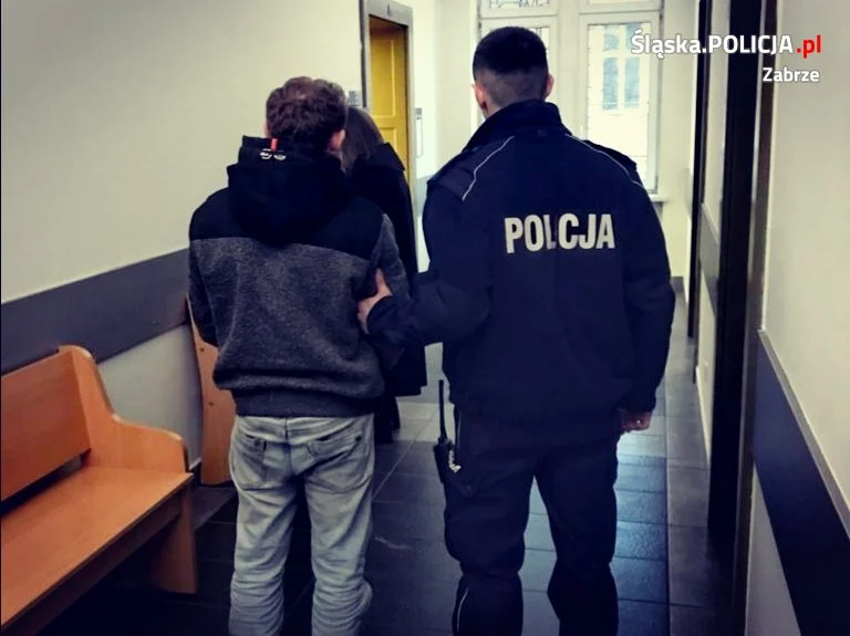 37-latek groził, stosował przemoc i okradł byłą konkubinę. Mężczyzna usłyszał zarzuty