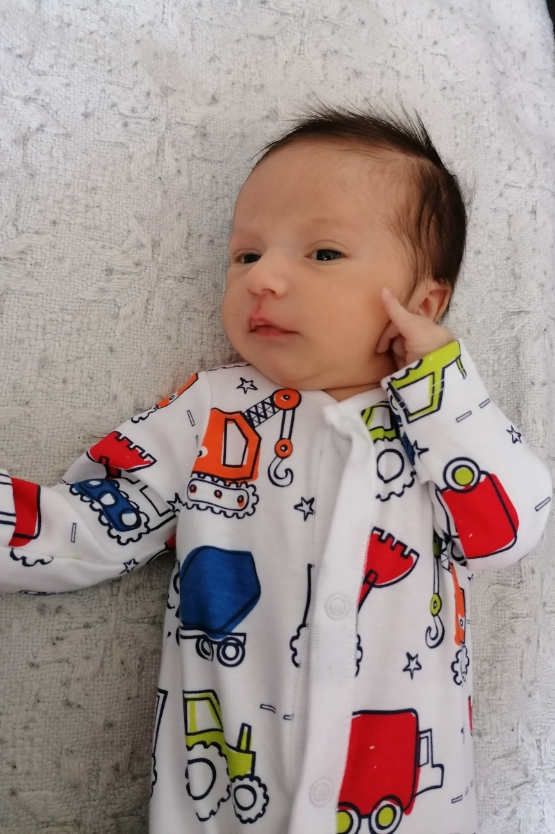 Agnieszka Niedzielska