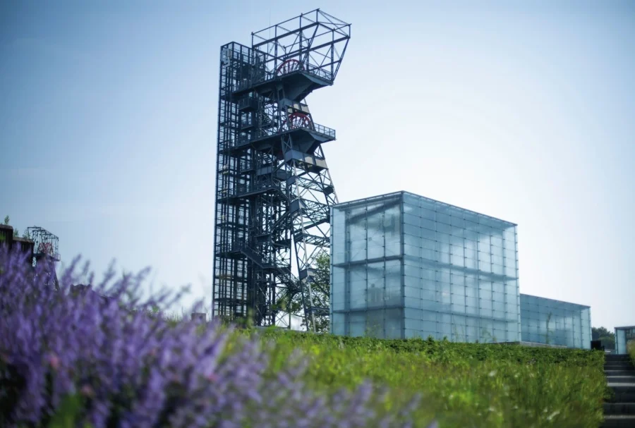Marszałek województwa odwołał dyrektor Muzeum Śląskiego. "To skandaliczna decyzja"