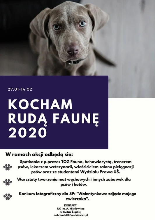 Kocham Rudą Faunę. Z miłości do zwierząt