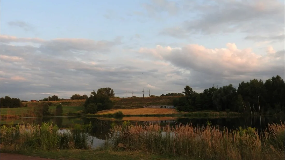 Czy w Rudzie Śląskiej powstanie użytek ekologiczny "Dolina Kochłówki"?