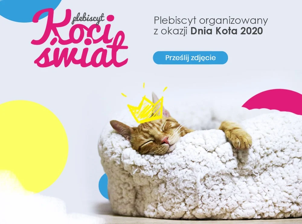 Konkurs zdjęciowy: Koci Świat - czekamy na zdjęcia!