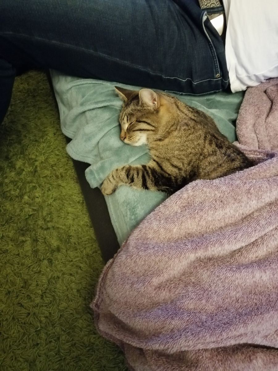 Dominika Siwiela-Wagner