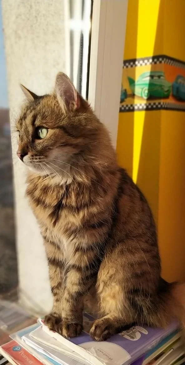 Bożena Kabaczyńska