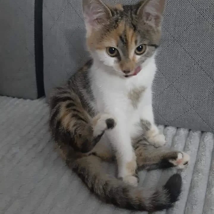 Magdalena Bereznicka