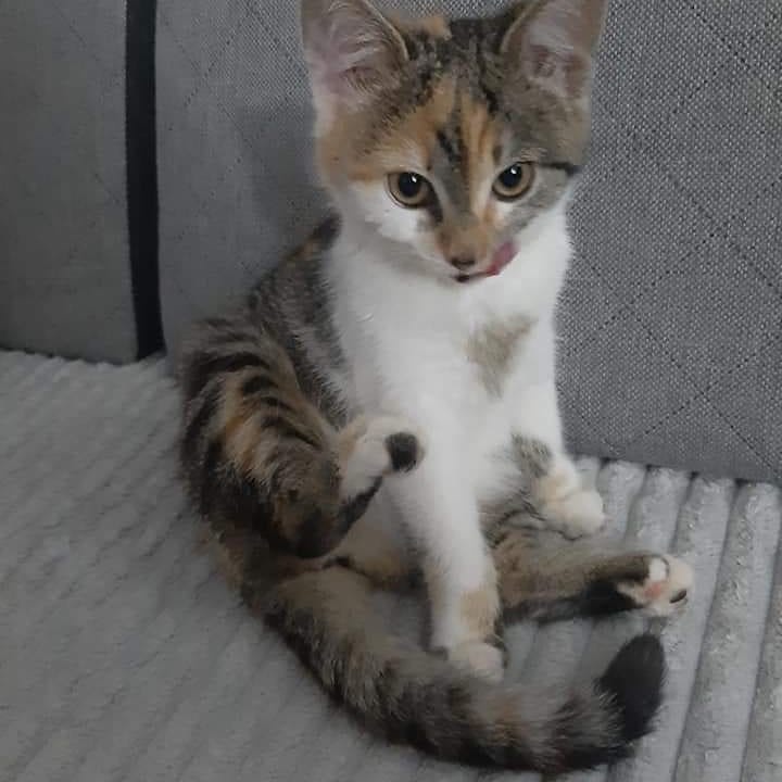 Magdalena Bereznicka