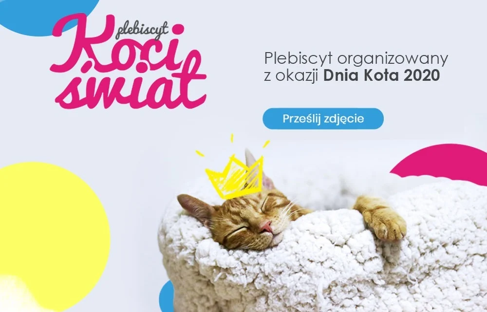 Konkurs zdjęciowy: Koci Świat - czekamy na zdjęcia!
