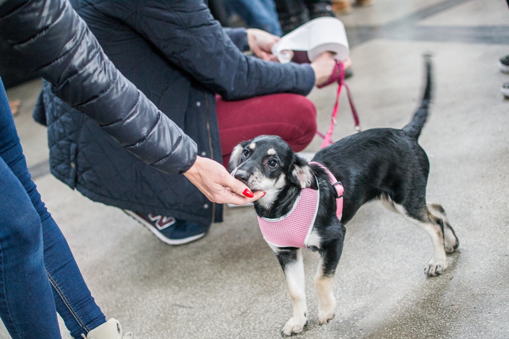 PSOTY w Szybie Wilson 3